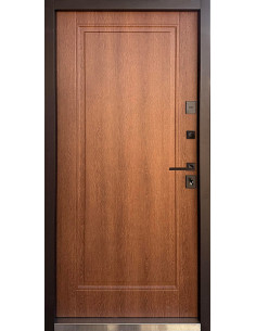 Двері Т4.0.ПЧ (R017) 960 _зовн ~809 орнамент №2 + дрімвуд коричневий_вн ~343 л 2