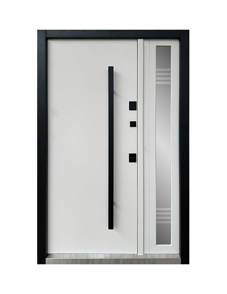 Двері Т6.23.ТЧ (офісна ручка) (9005) 1200 метал крафт золотий/метал фарбований 9005_зовн ~731.1 + ду