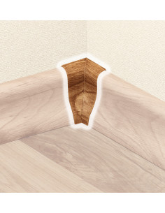 №63 Кут внутрішній Дуб Тоска